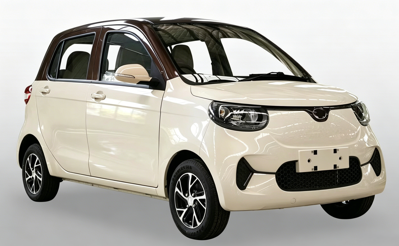 mini car electric vehicle