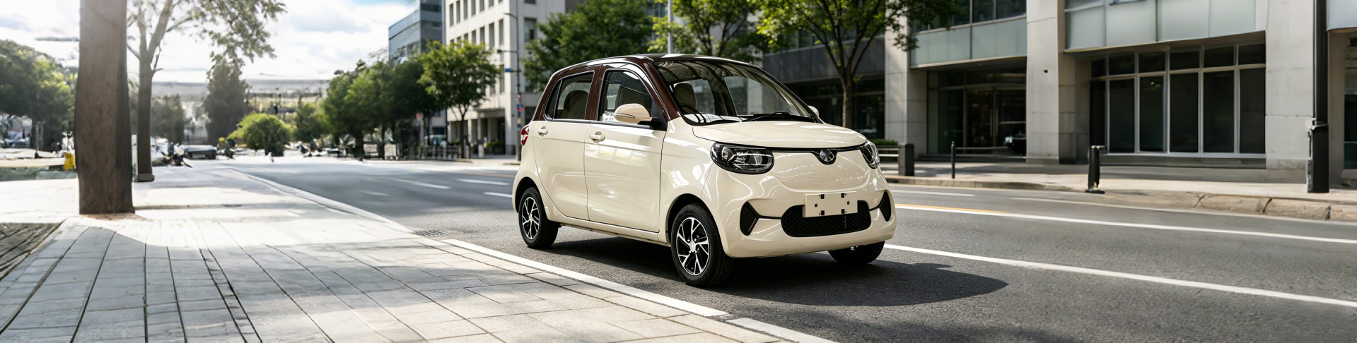 mini car electric vehicle