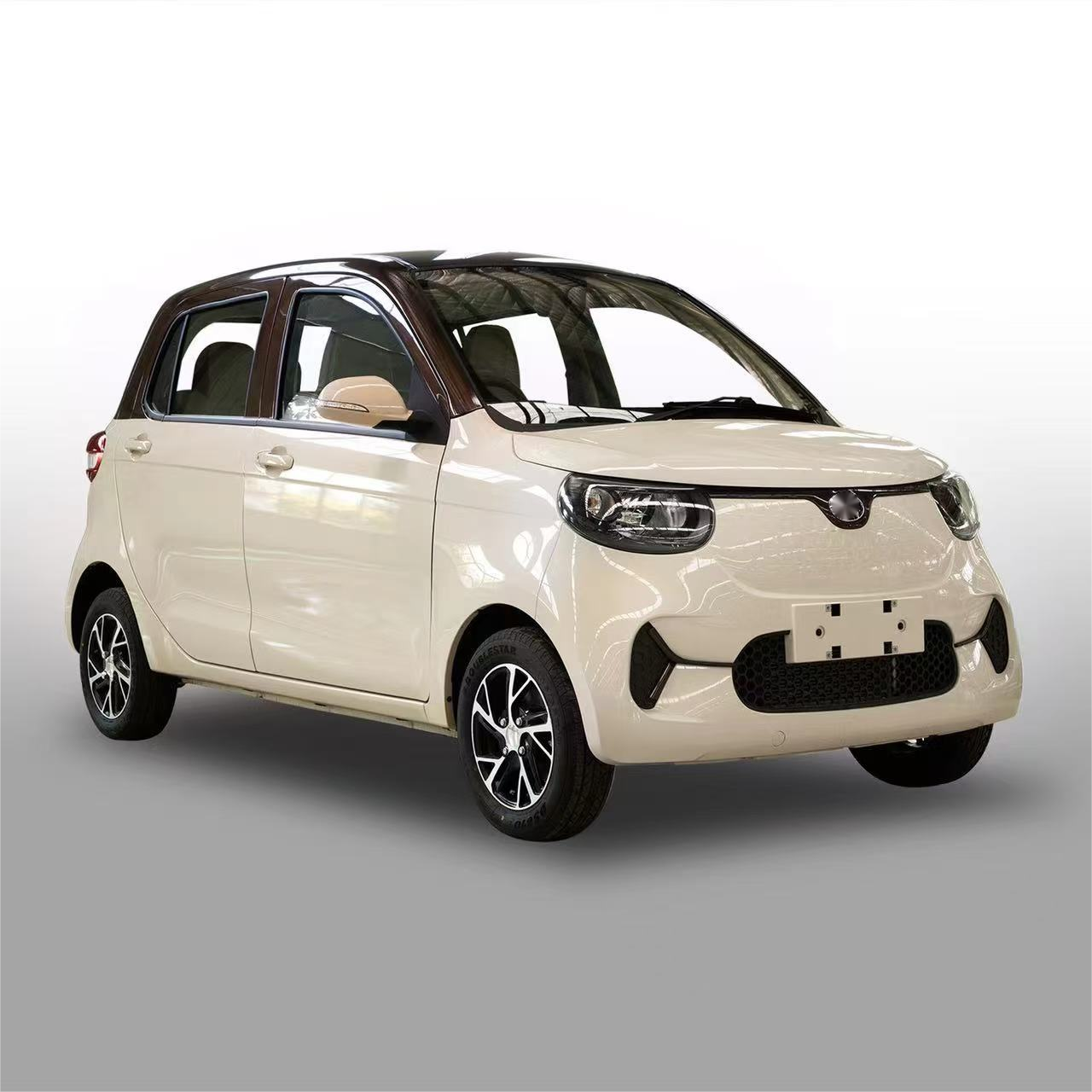 mini car electric vehicle